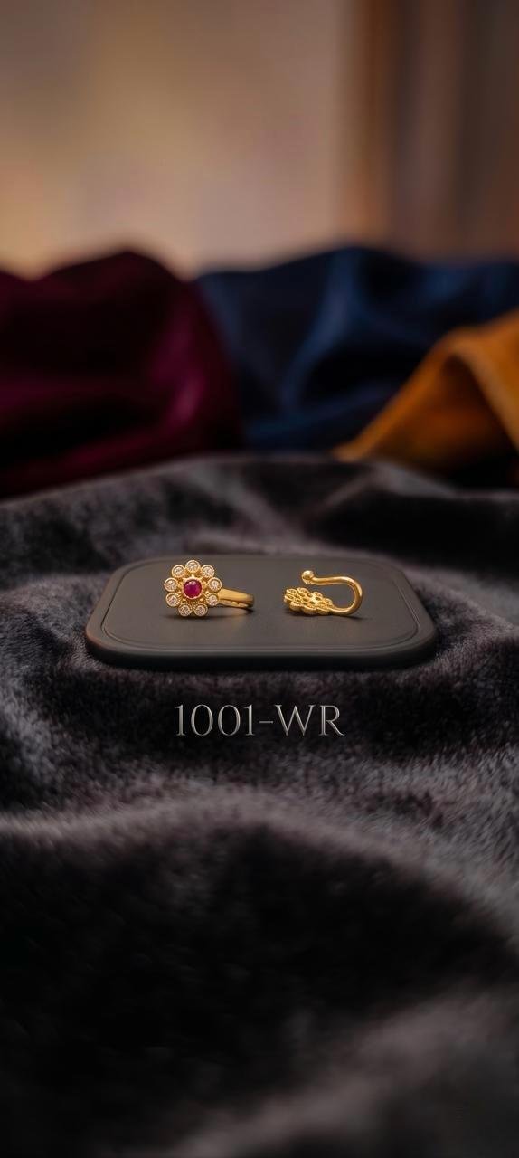 1001-WR