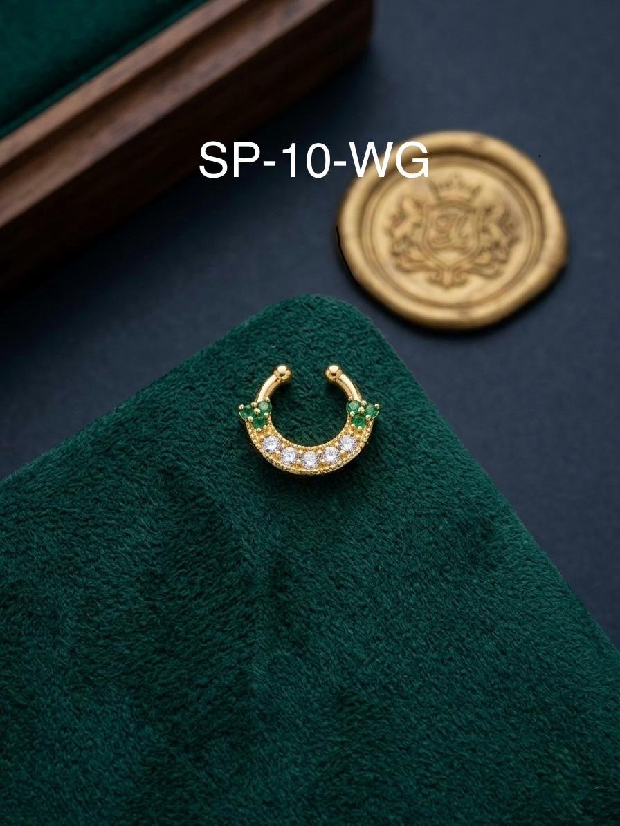 SP-10-WG